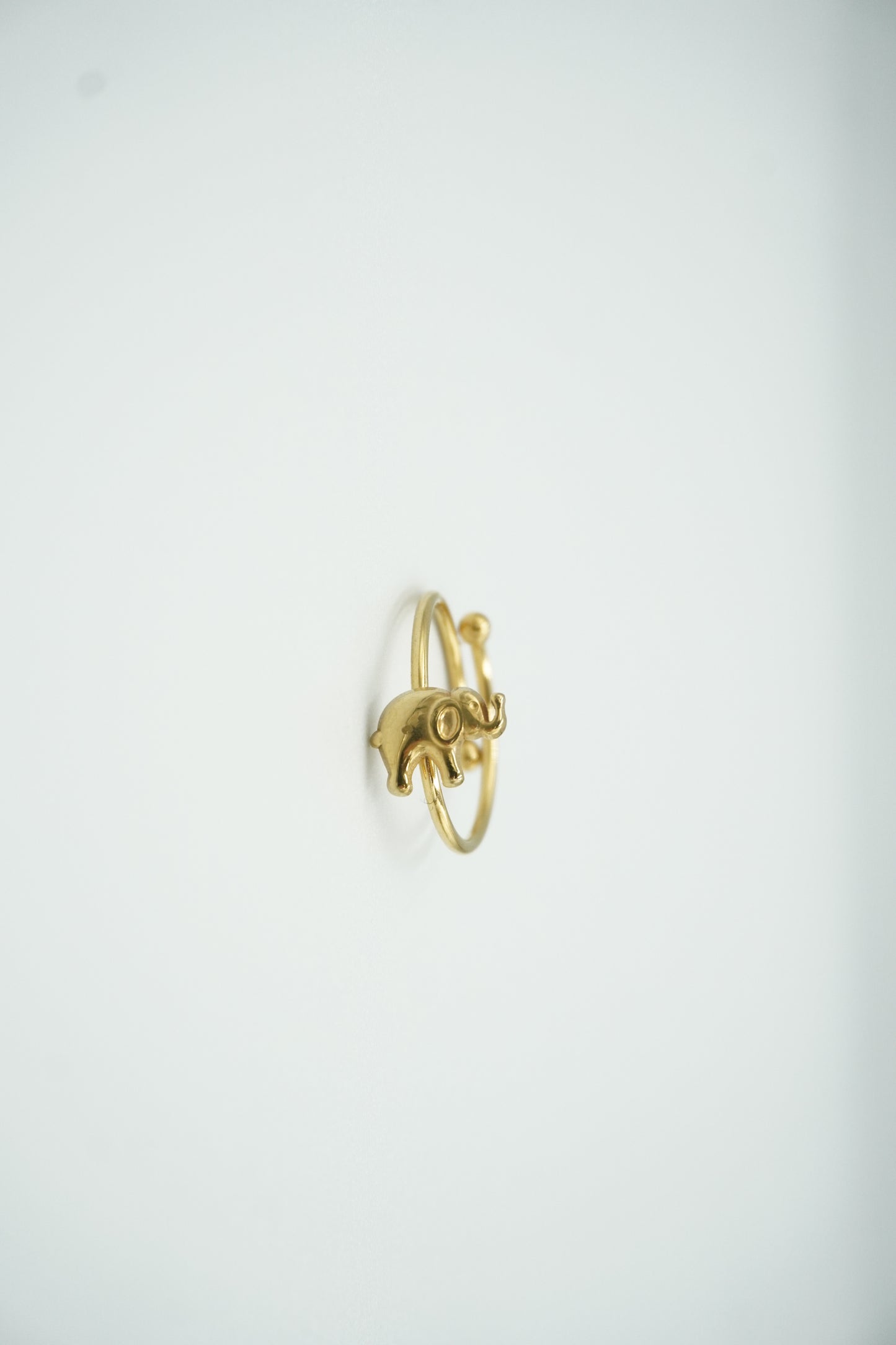 Elephant Ring